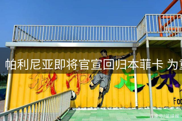 帕利尼亚即将官宣回归本菲卡 为重返葡超婉拒英超邀约
