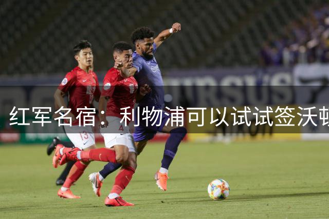 红军名宿：利物浦可以试试签沃顿，他们还得买人才能真正启航