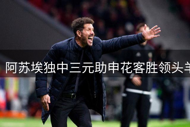 阿苏埃独中三元助申花客胜领头羊